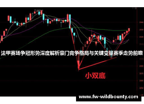 法甲赛场争冠形势深度解析豪门竞争格局与关键变量赛季走势前瞻