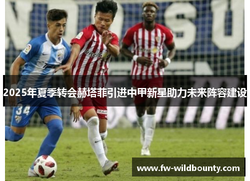 2025年夏季转会赫塔菲引进中甲新星助力未来阵容建设