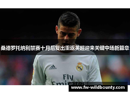 桑德罗托纳利禁赛十月后复出重返英超迎来关键中场新篇章