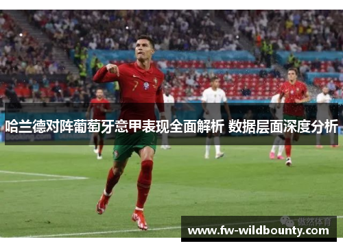 哈兰德对阵葡萄牙意甲表现全面解析 数据层面深度分析