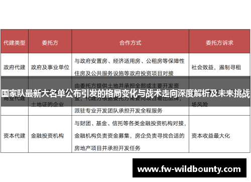 国家队最新大名单公布引发的格局变化与战术走向深度解析及未来挑战
