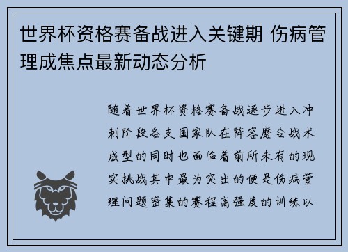 世界杯资格赛备战进入关键期 伤病管理成焦点最新动态分析