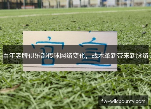 百年老牌俱乐部传球网络变化，战术革新带来新脉络